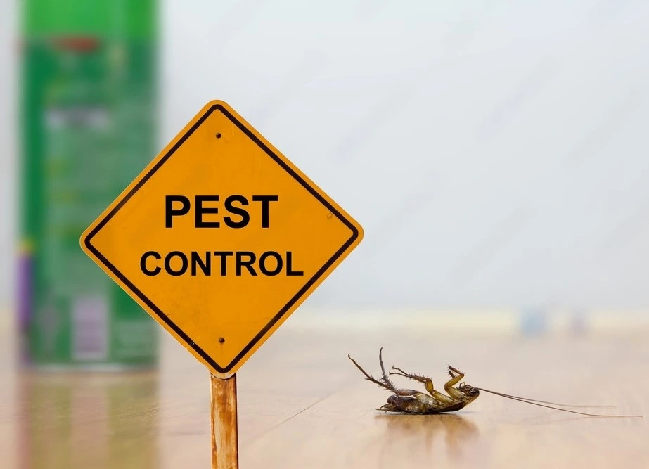 Natural Solutions - pest control bend oregon